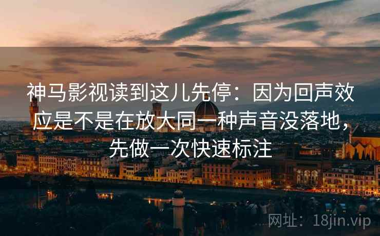 神马影视读到这儿先停：因为回声效应是不是在放大同一种声音没落地，先做一次快速标注