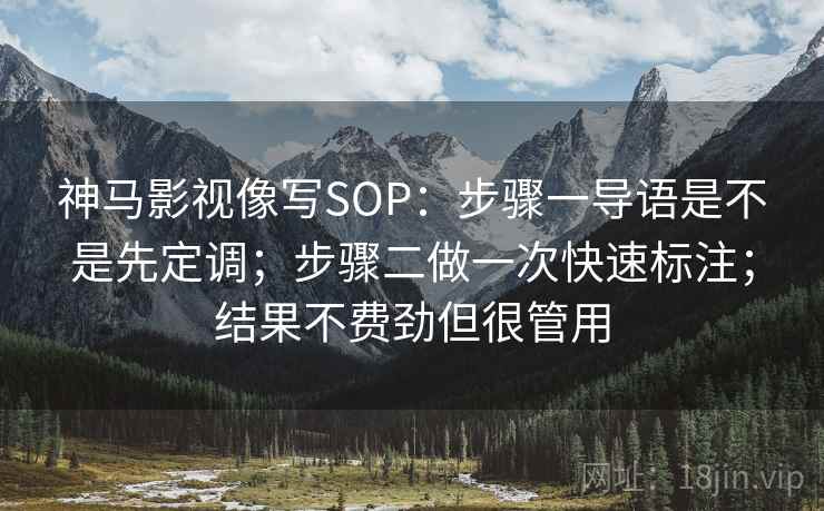 神马影视像写SOP：步骤一导语是不是先定调；步骤二做一次快速标注；结果不费劲但很管用